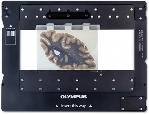 OLYMPUS VS200  Evident